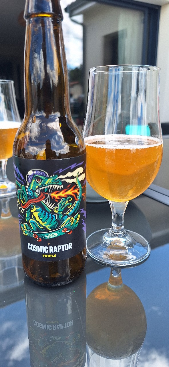 Cosmic Raptor, France