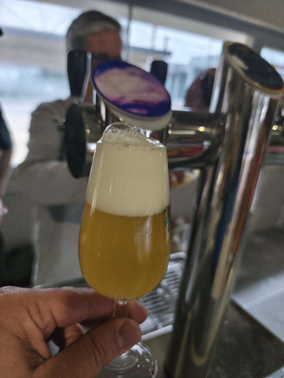 cheeky, Verdant Brewing Co.