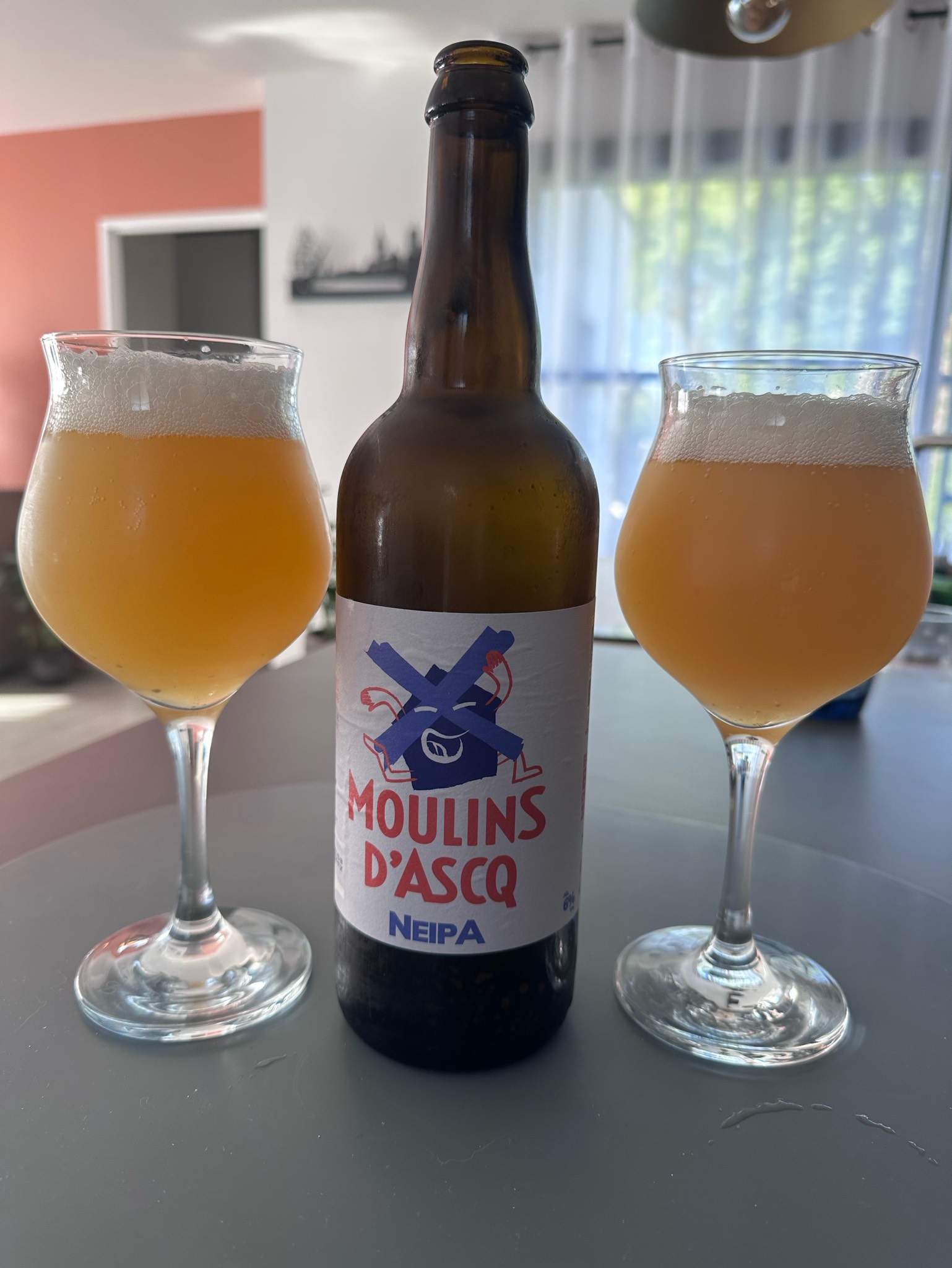 Moulins D'Ascq Neipa, France