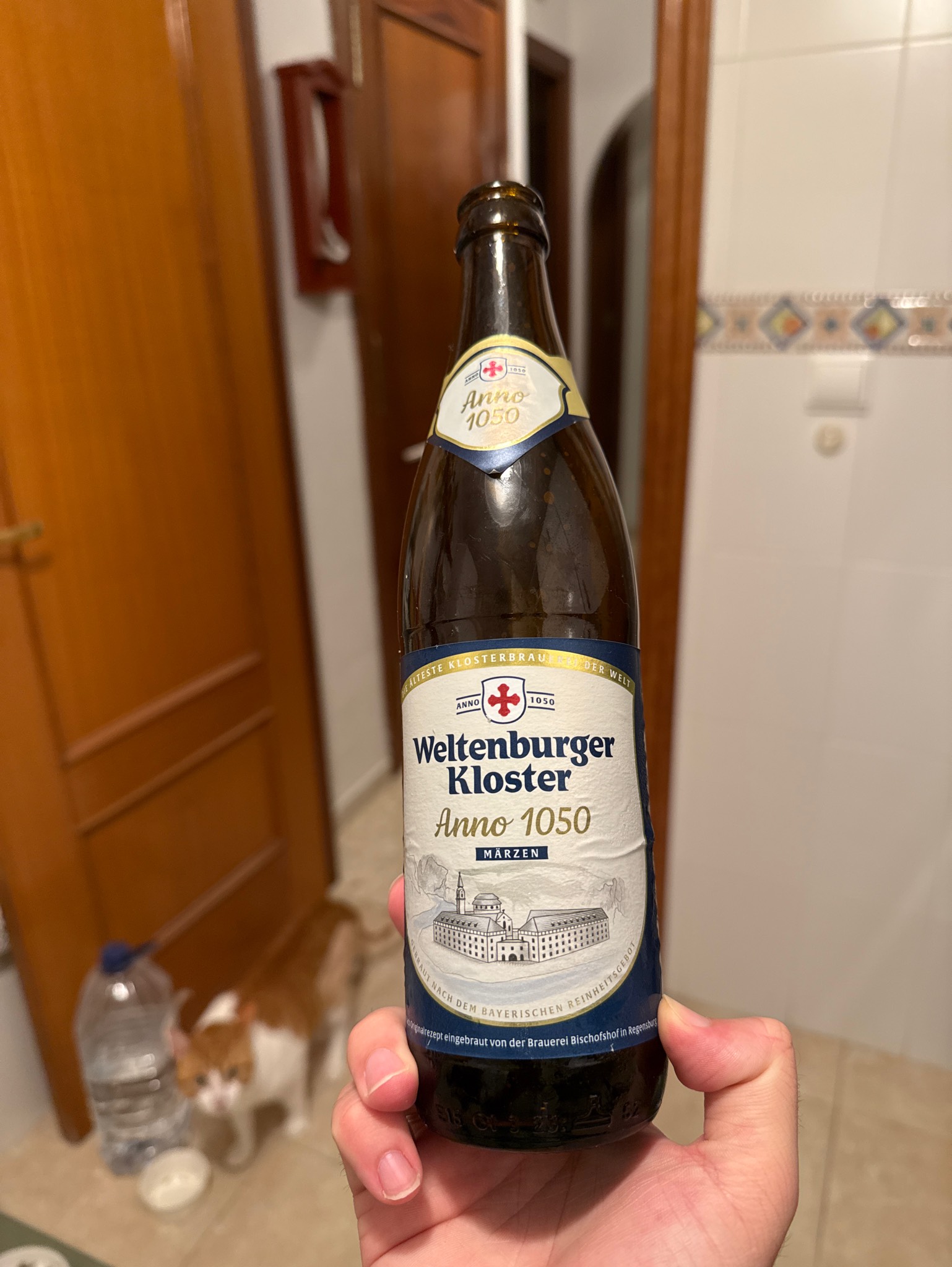 Anno 1050, Germany