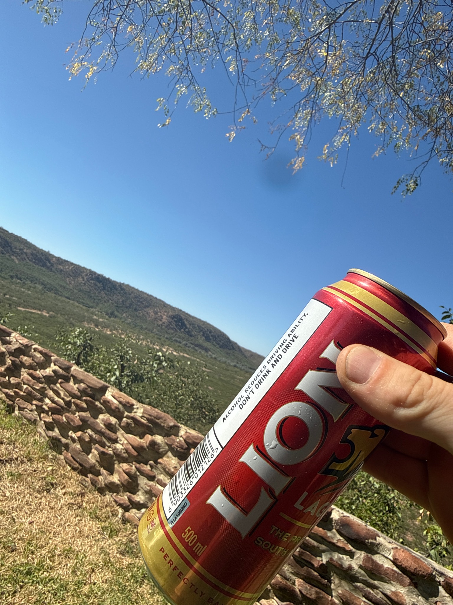Lion Lager 4.0 %, South African Breweries (SABMiller)