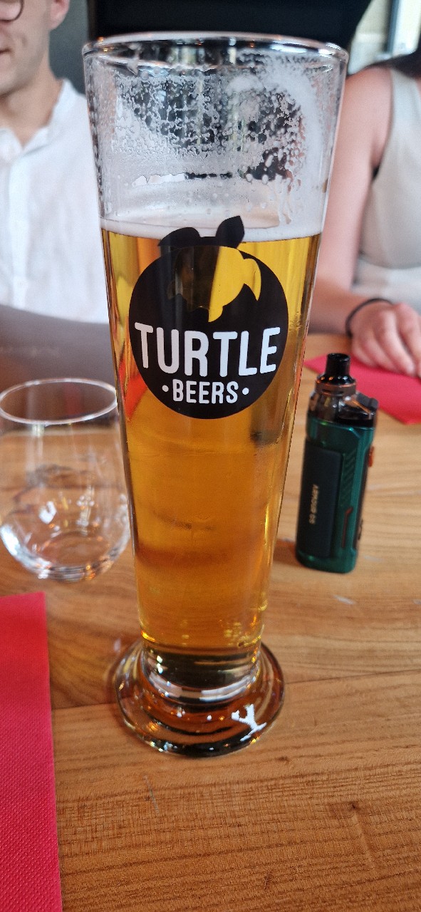 Turtle, Turtle Cellar