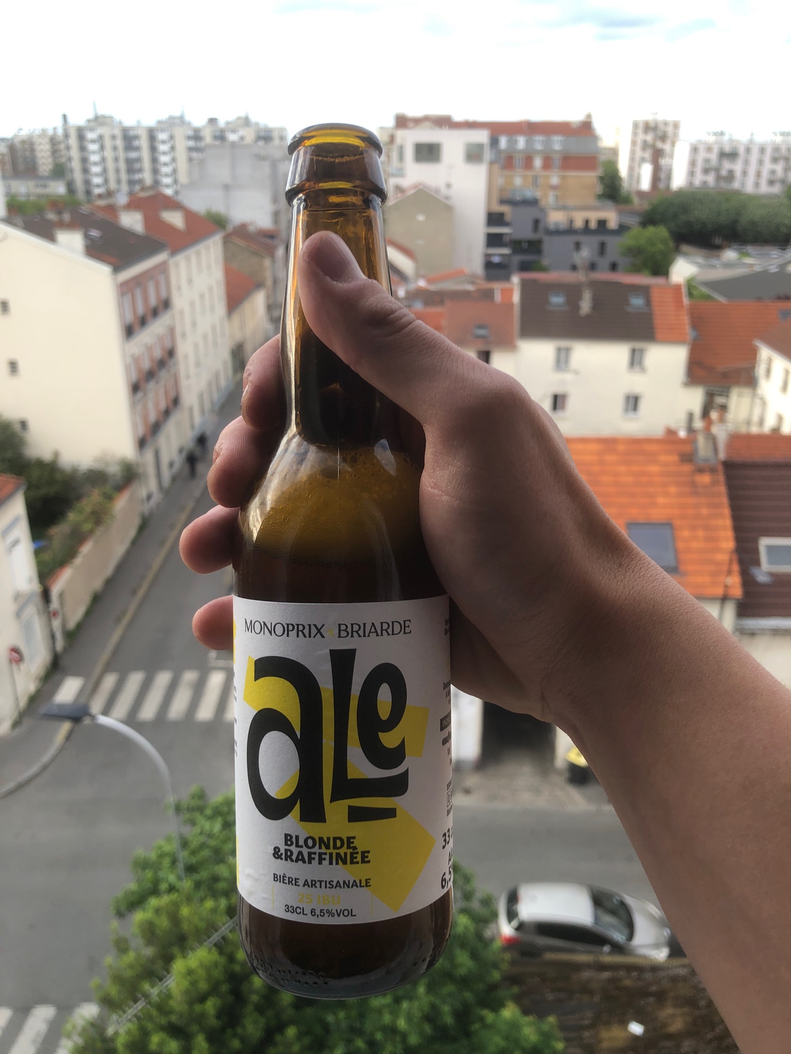 Monoprix X Briarde Ale, Brasserie Rabourdin