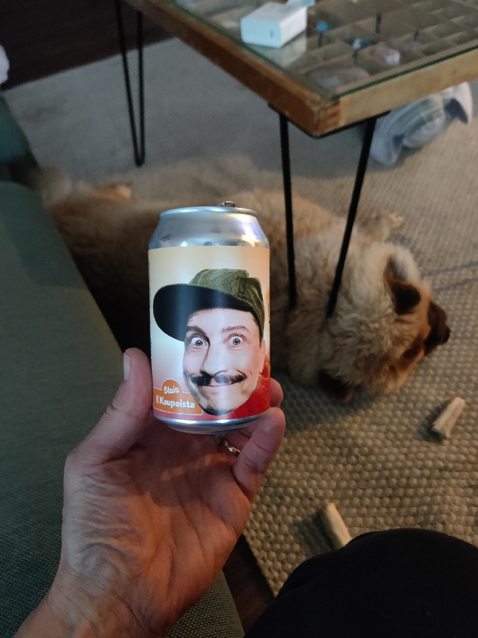 Lepoloma IPA, Finland