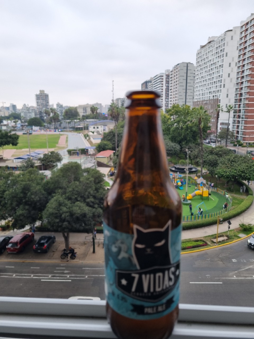 7 vidas cerveza artesanal, Cerveza 7 Vidas