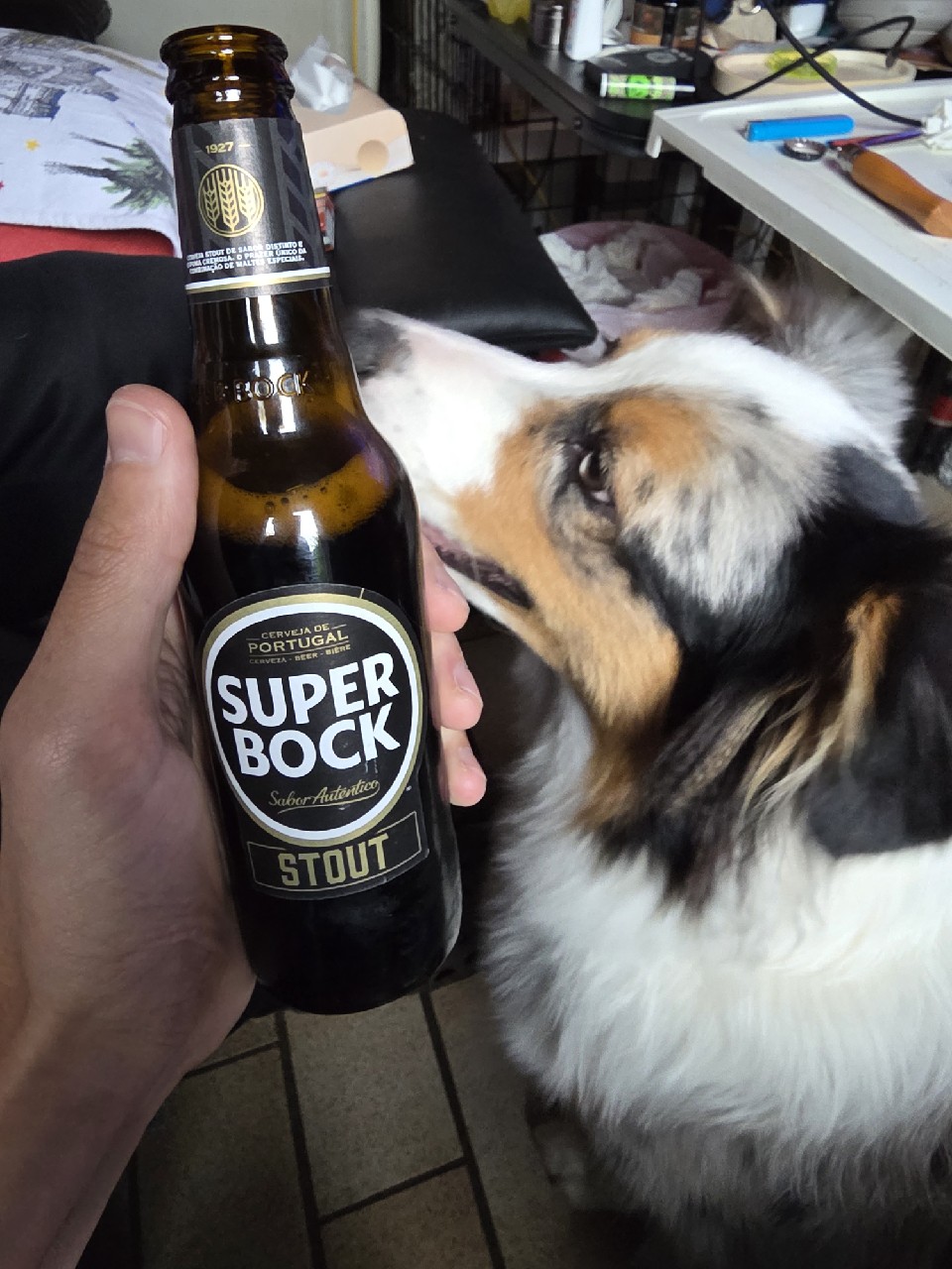 Super Bock Stout, Portugal