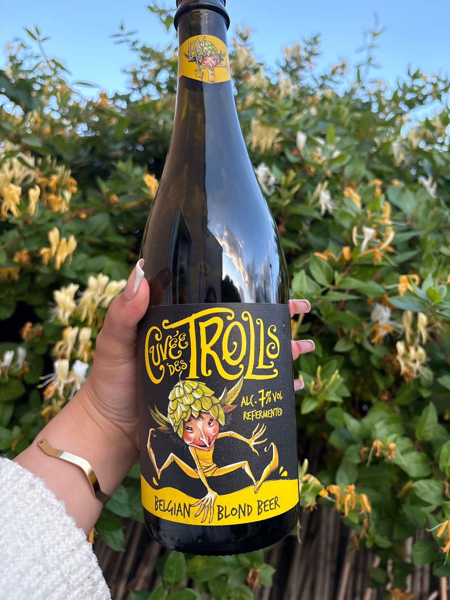 Cuvée Des Trolls, Brasserie Dubuisson