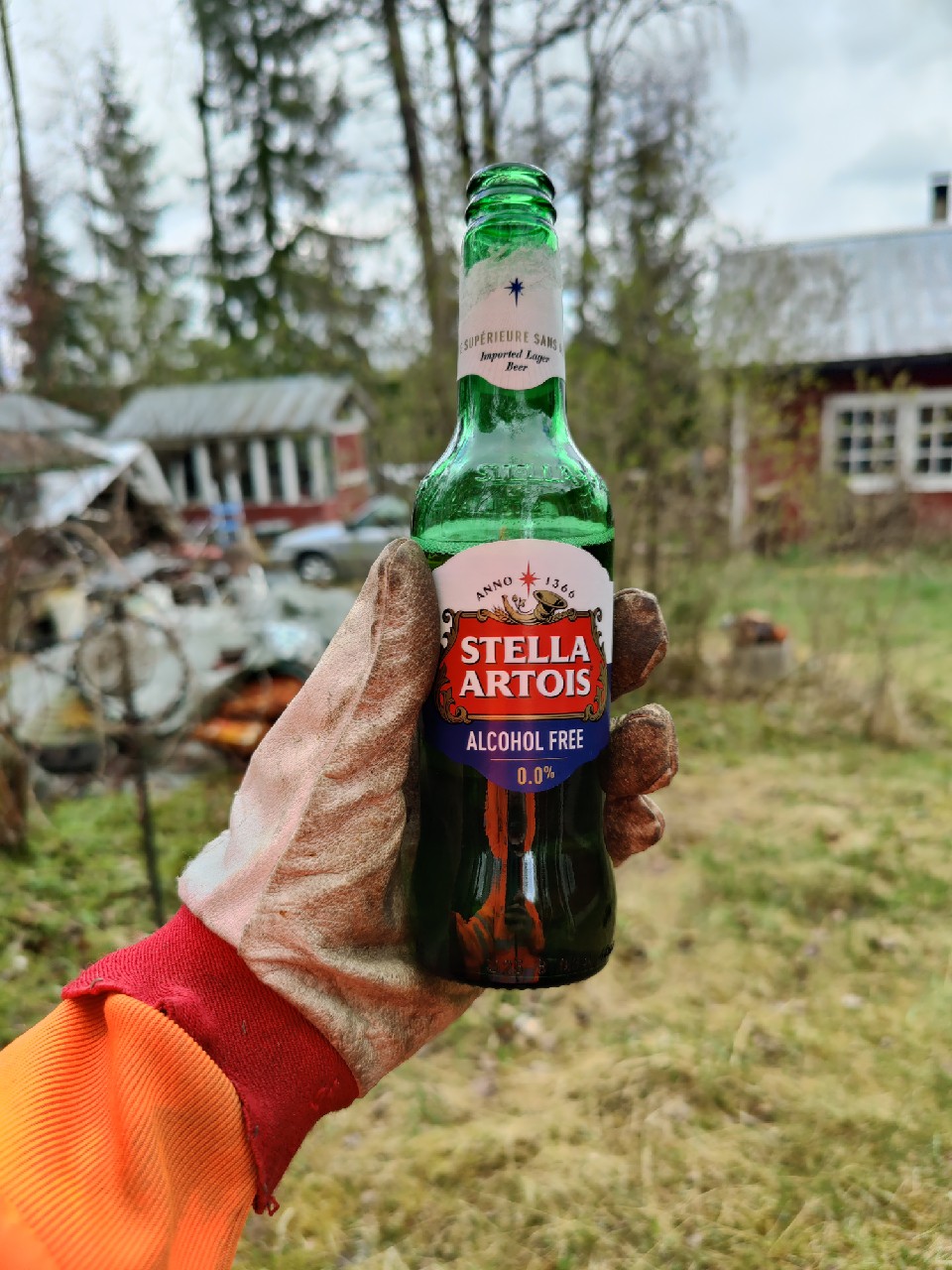 Stella Artois Alcohol Free / 0.0% / Non Alcohol / N.A., Stella Artois (AB InBev)