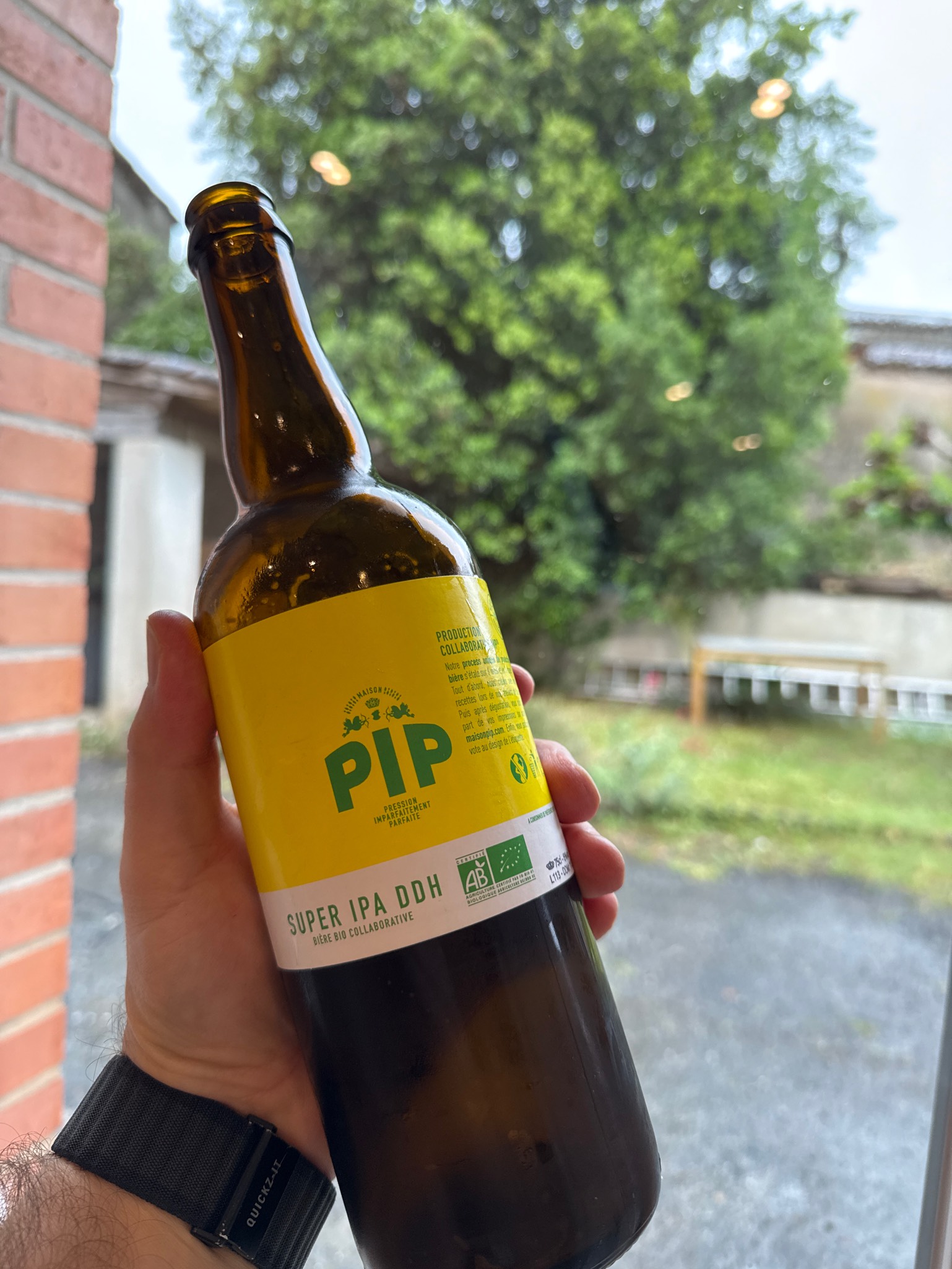 PIP Super IPA DDH, Maison PIP | Brasserie Collaborative & Culturelle