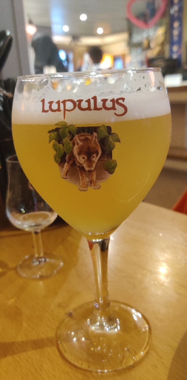 Lupulus Hazy Session, Belgium
