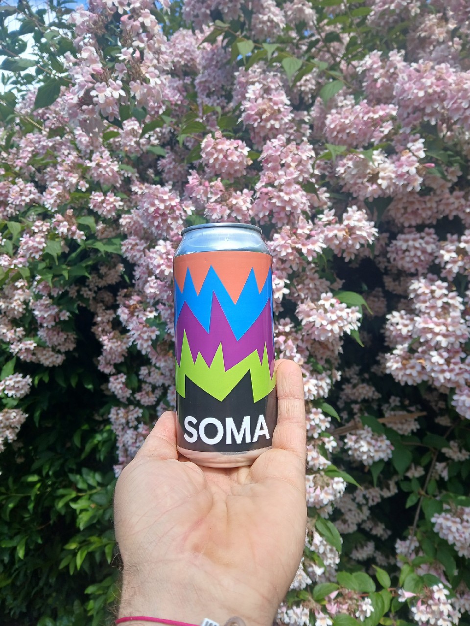Raw, SOMA Beer