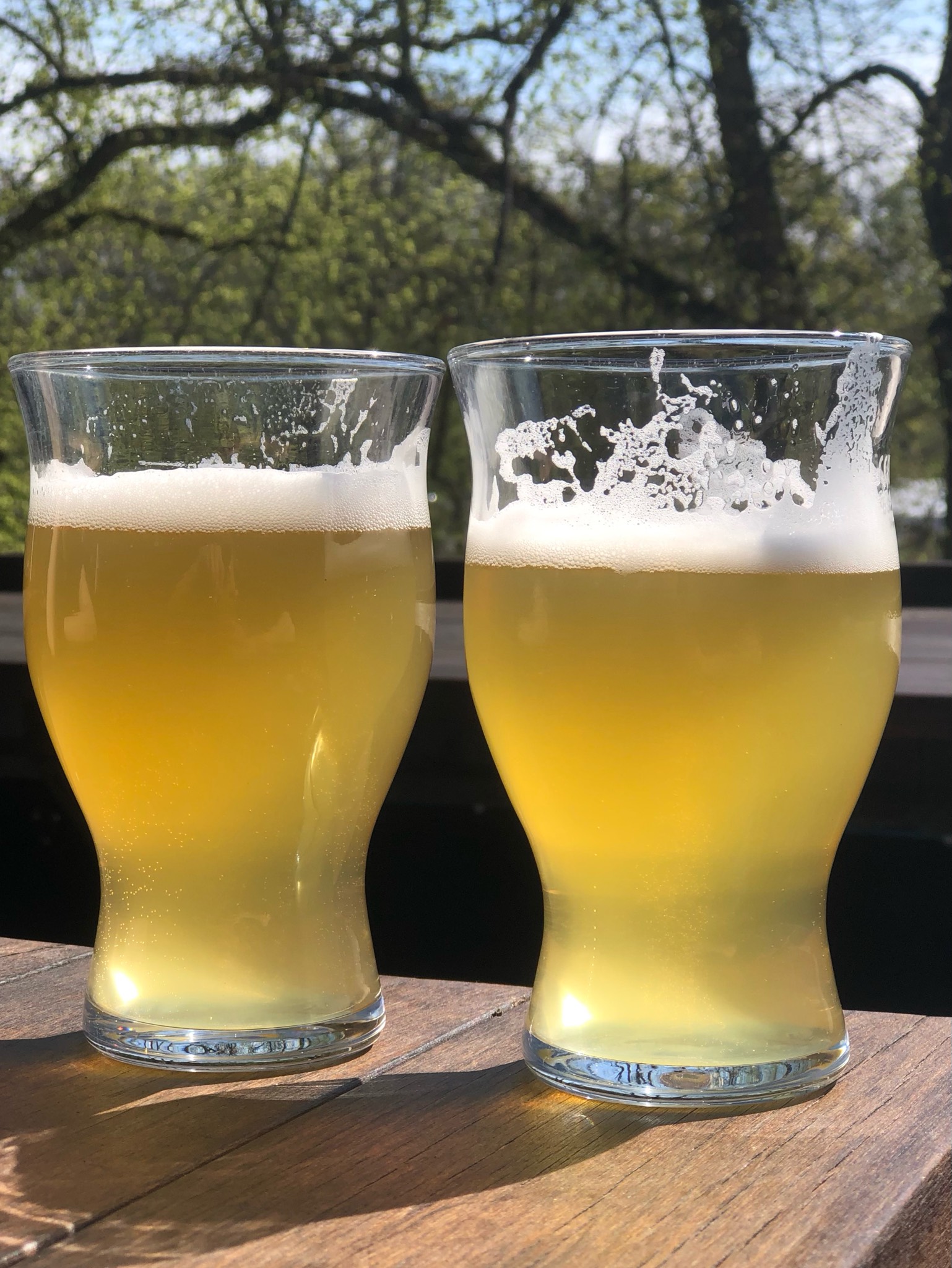 Tori, Kakola Brewing Company