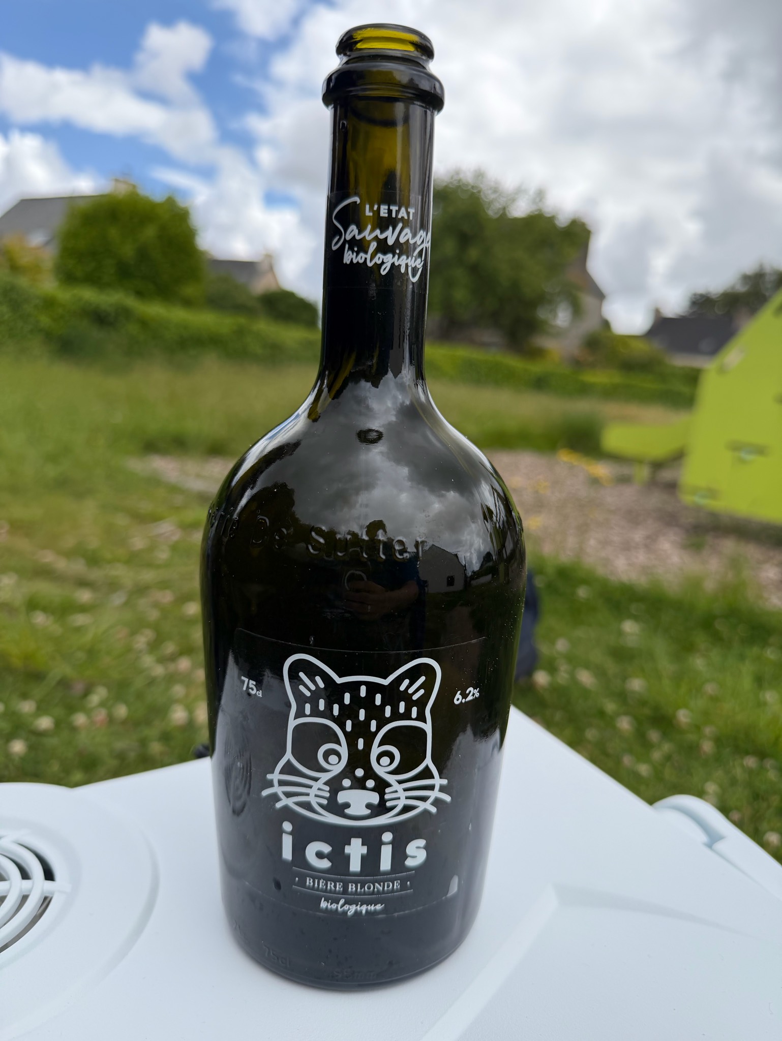 Ictis, France