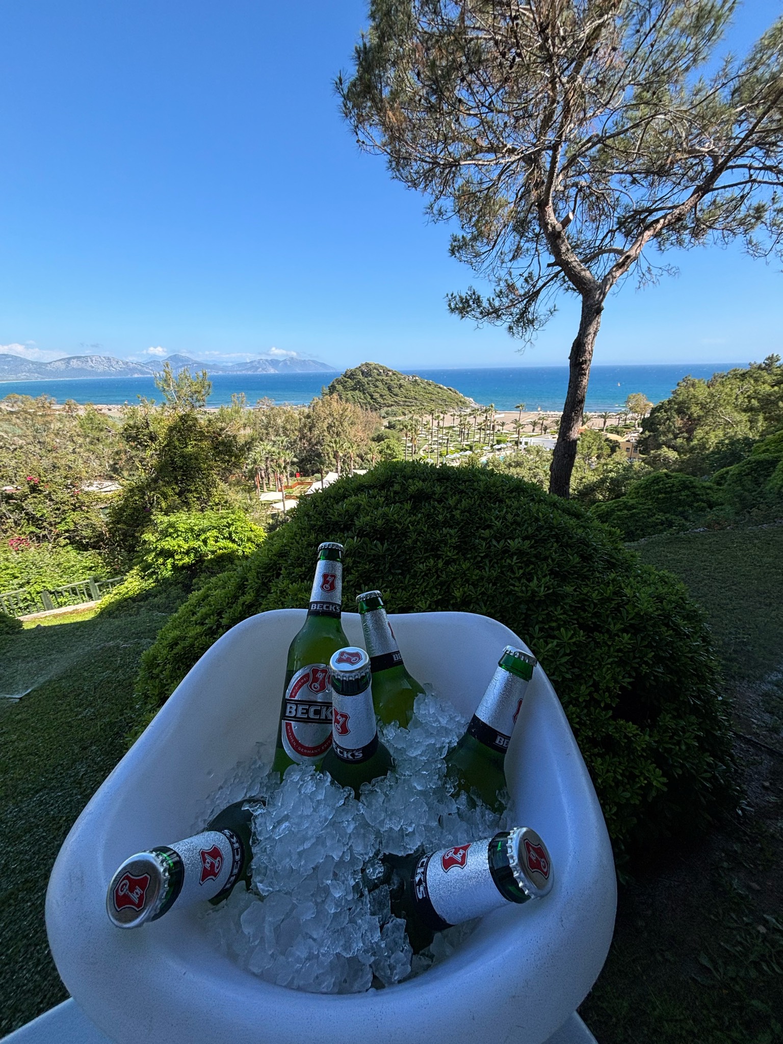 Beck's, Brauerei Beck & Co. / Becks (A-B InBev)