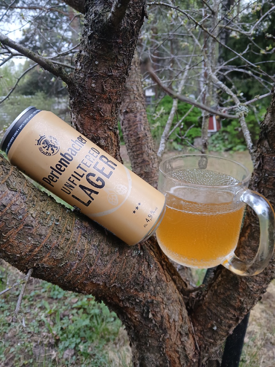 Perlenbacher Unfiltered Lager, Frankfurter Brauhaus (TCB Beverages)
