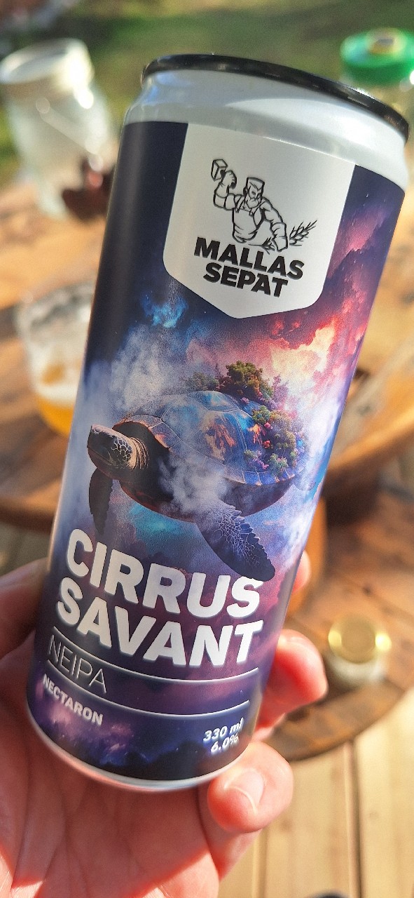 Cirrus Savant, Finland
