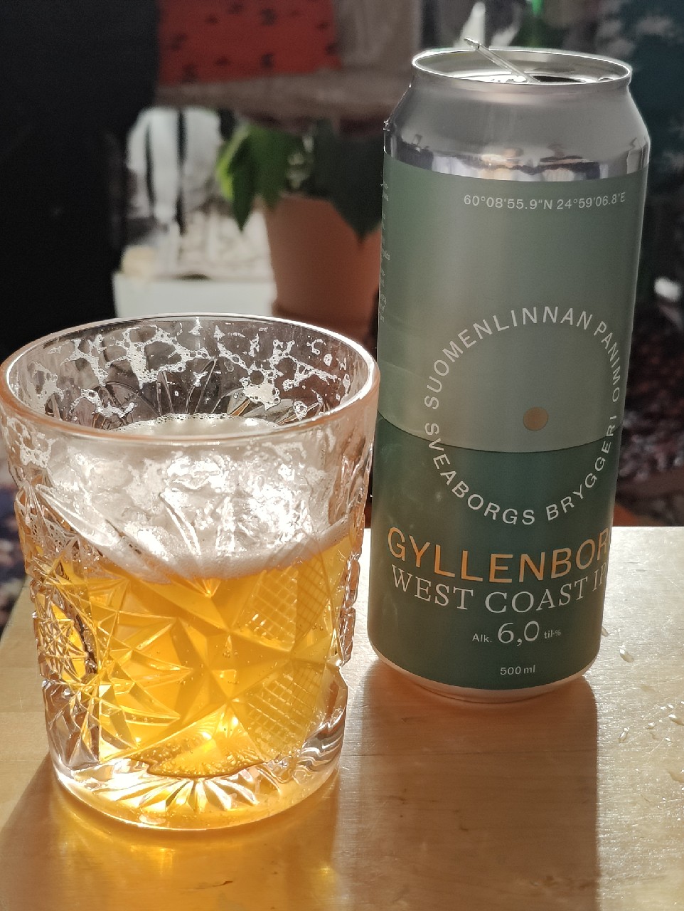 Gyllenborg, Finland