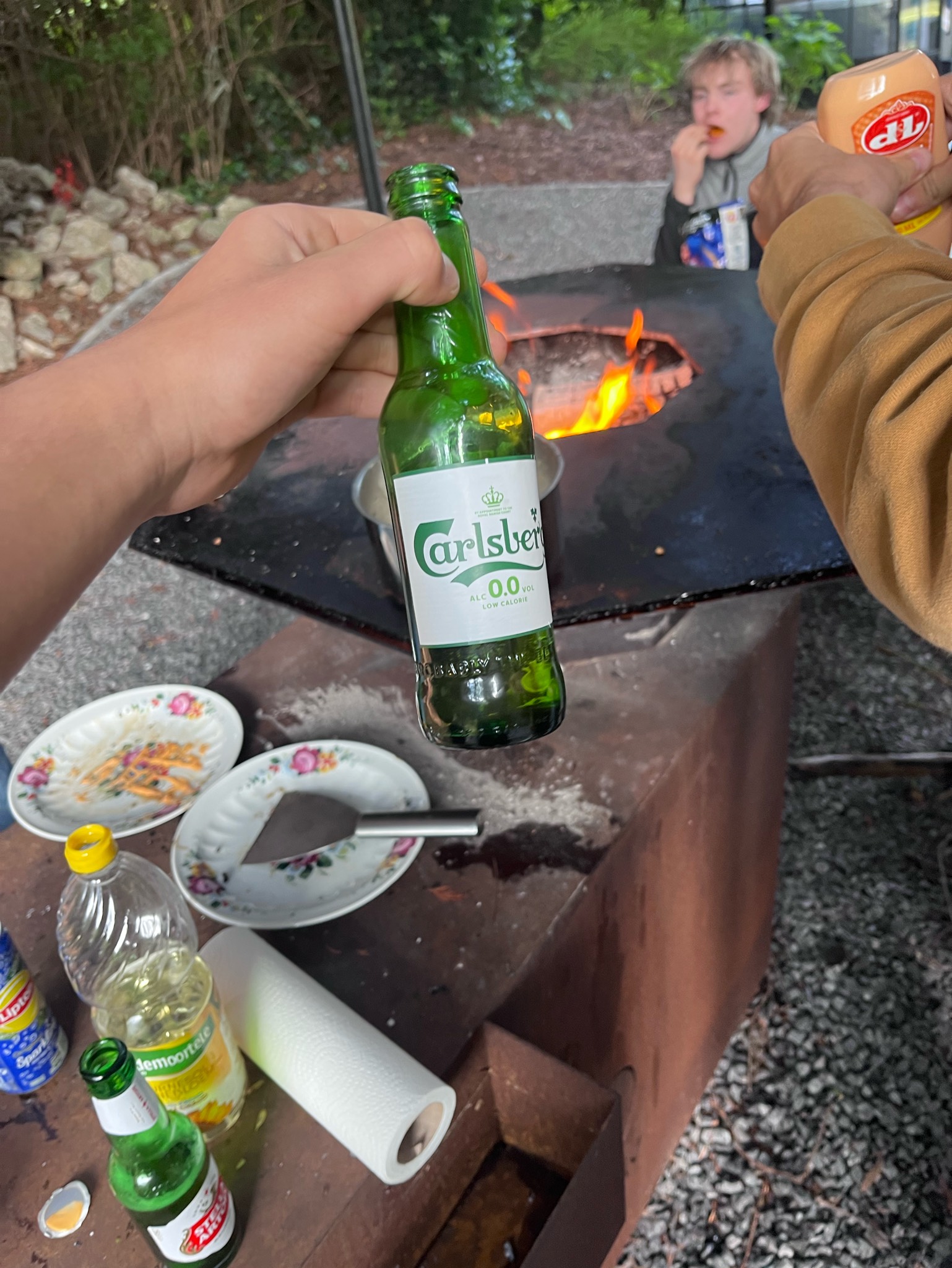 Carlsberg 0.0, Carlsberg Group