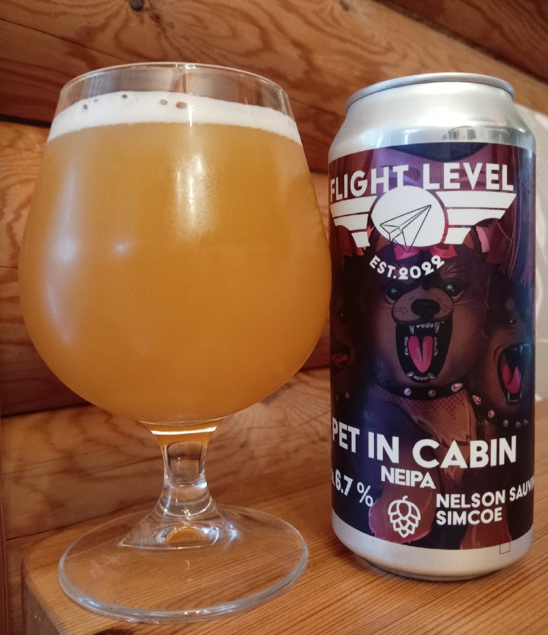 Pet in Cabin, Flight Level Brewing