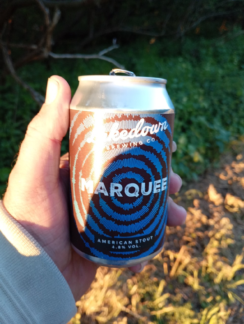 Marquee, Lakedown Brewing Co.