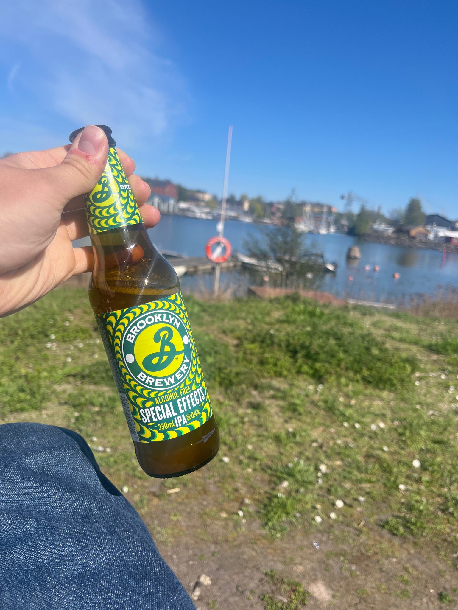 Alcohol Free Special Effects IPA, United States