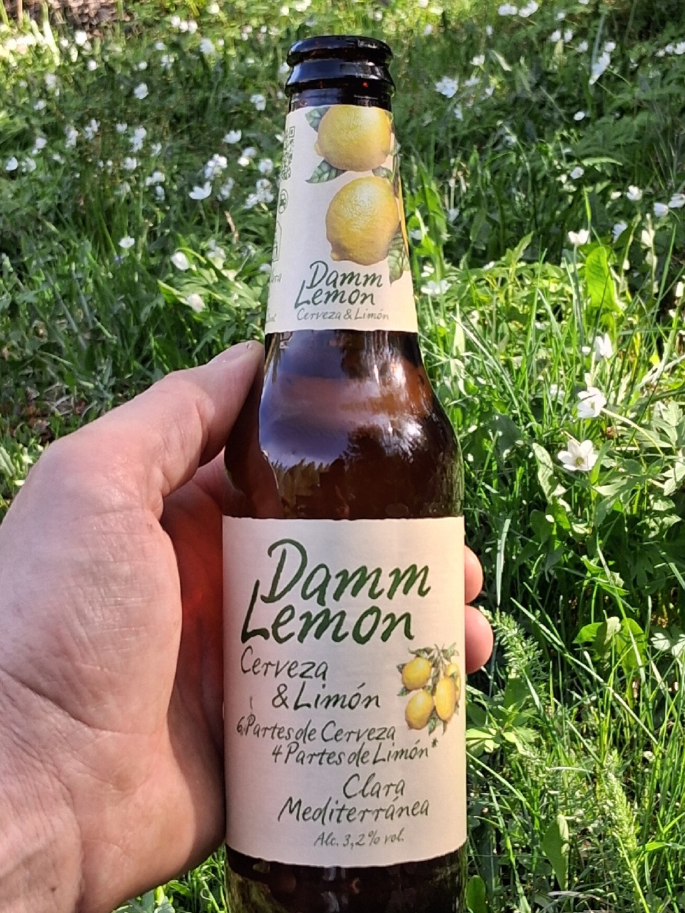 Damm Lemon, Damm
