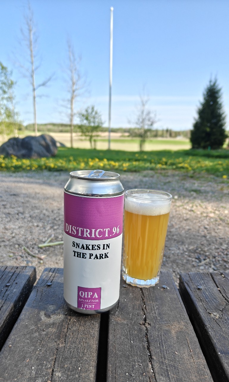 Snakes In The Park, District 96 Beer Factory