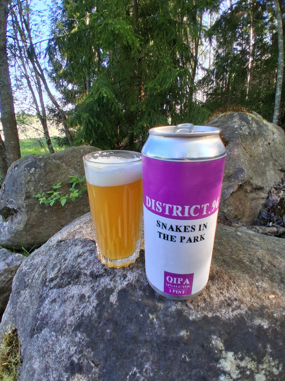 Snakes In The Park, District 96 Beer Factory