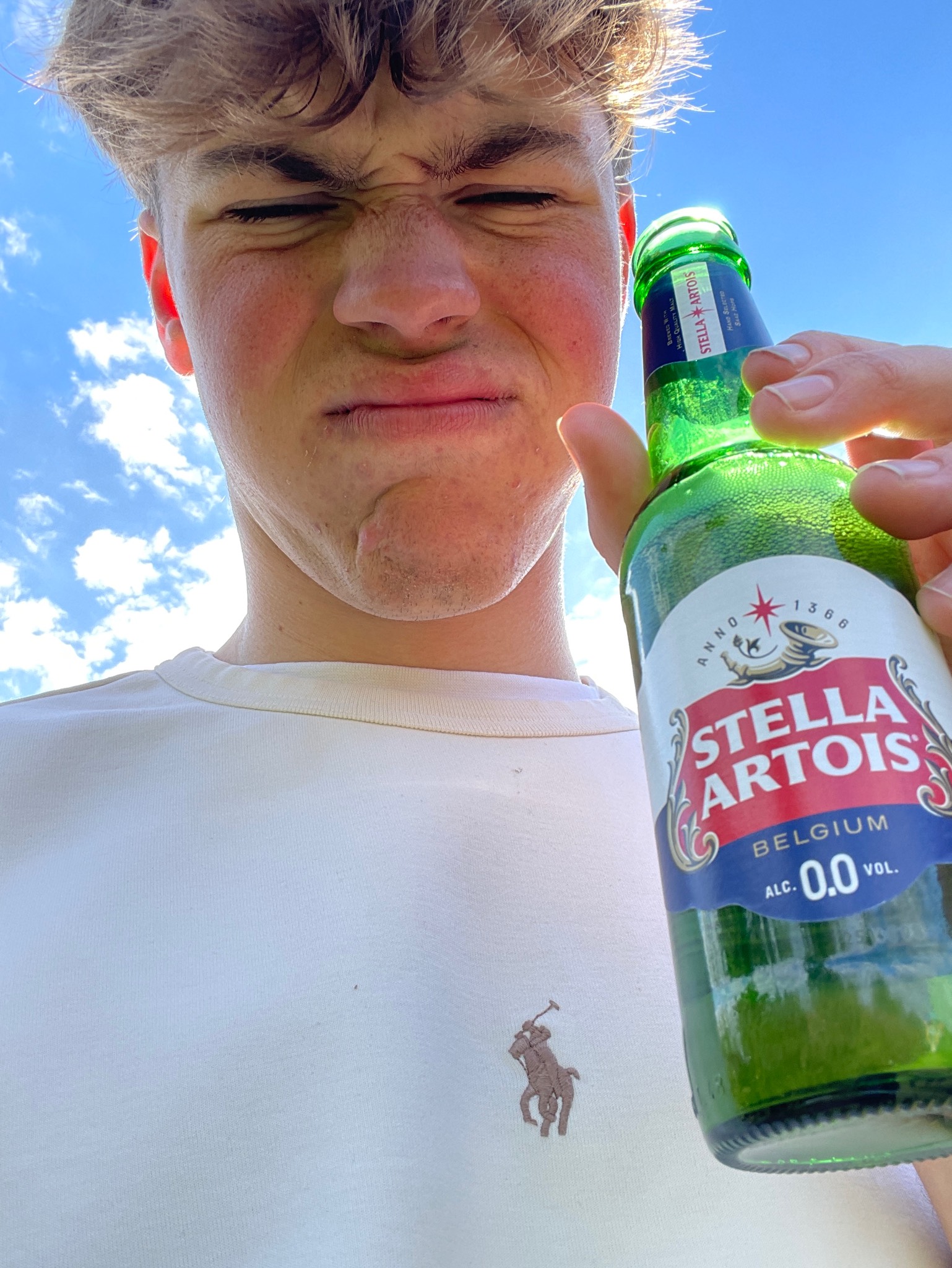 Stella Artois Alcohol Free / 0.0% / Non Alcohol / N.A., Belgium