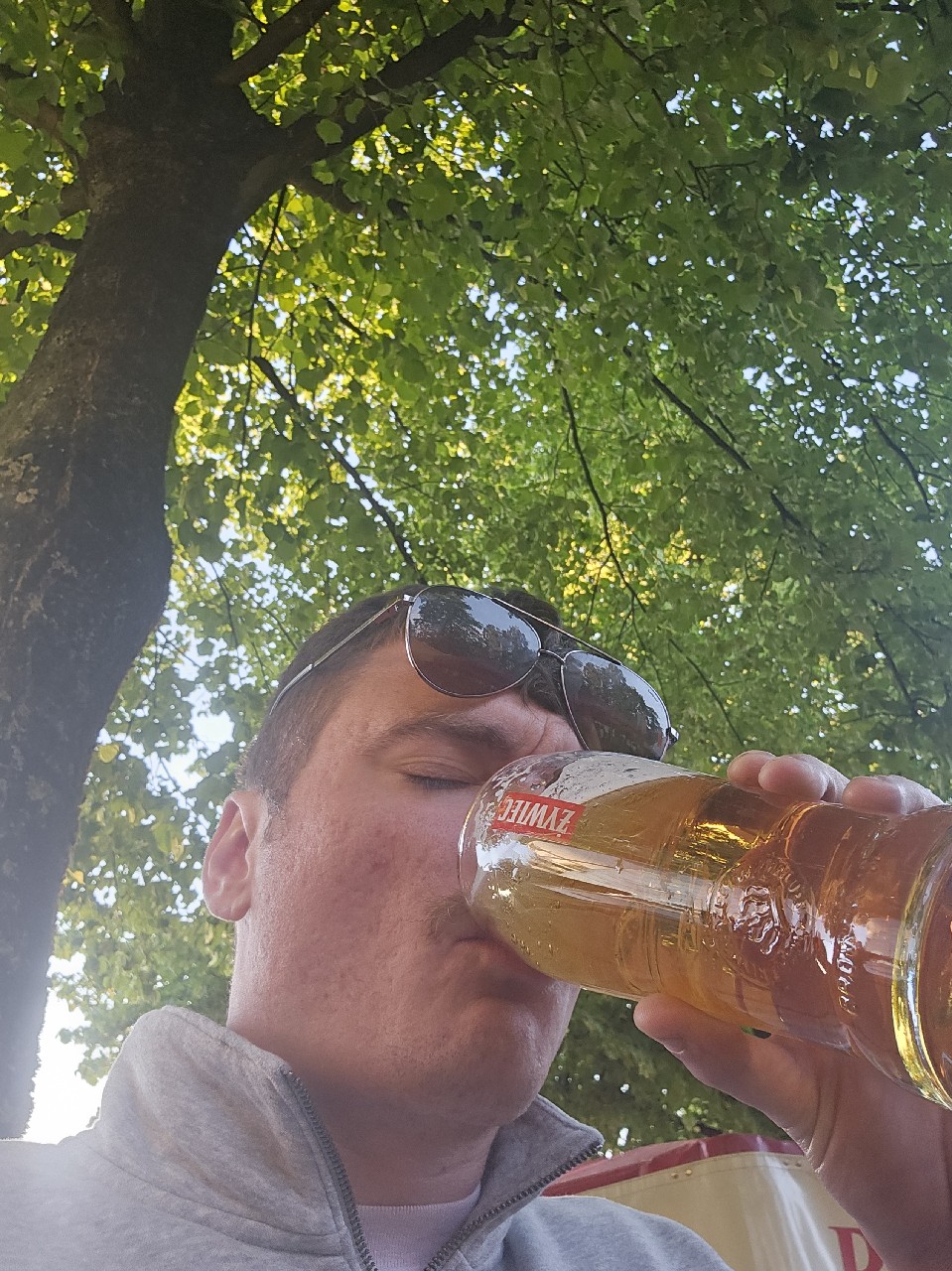 Żywiec, Grupa Żywiec (Heineken)
