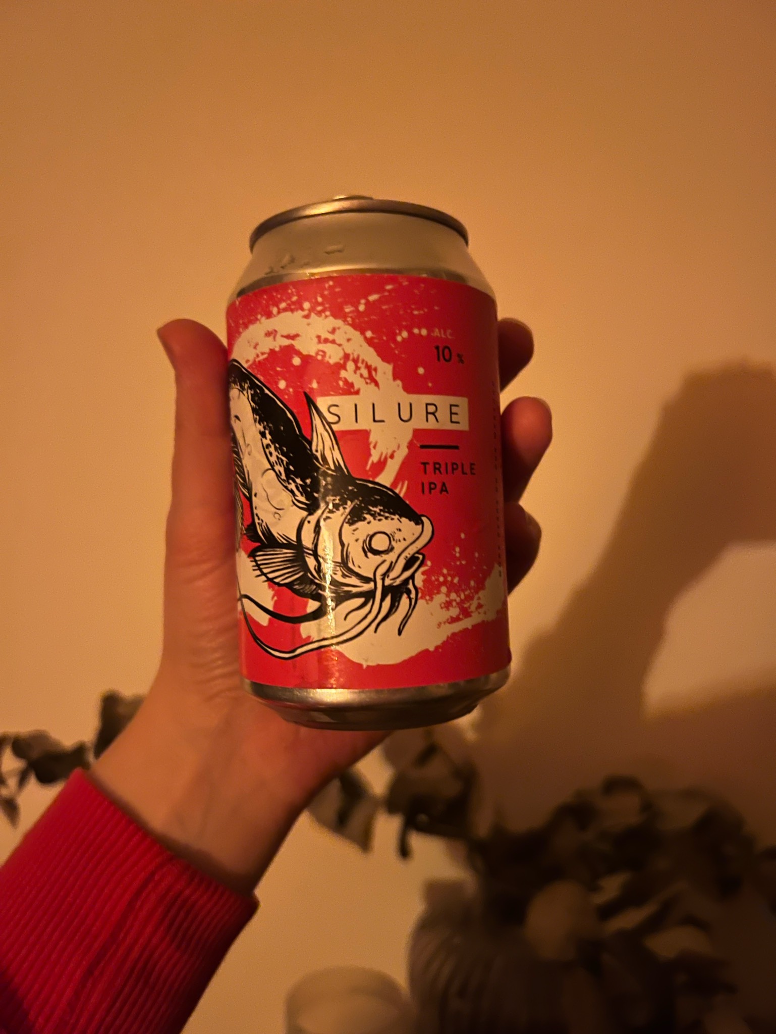 Silure, La Source Beer Co.