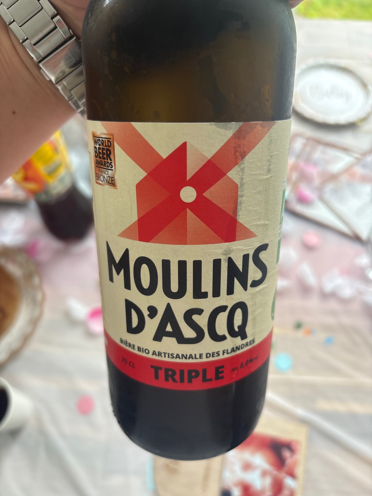 Moulins D'Ascq Triple, France