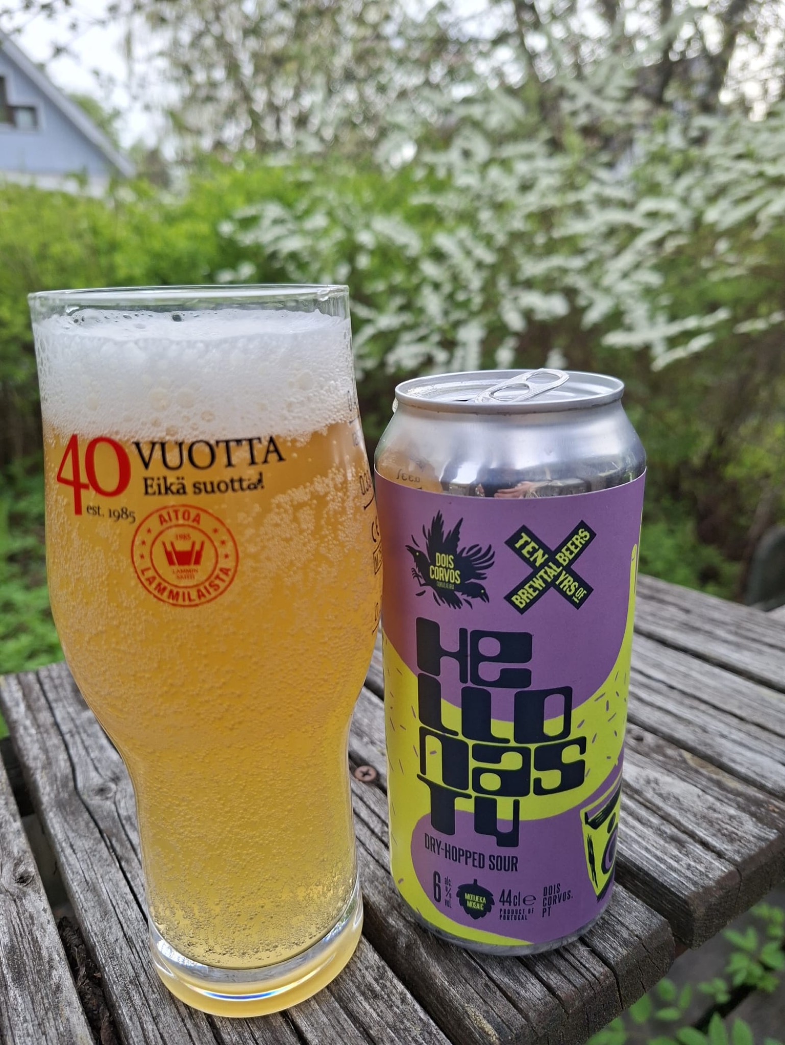 Hello Nasty, Dois Corvos Cervejeira