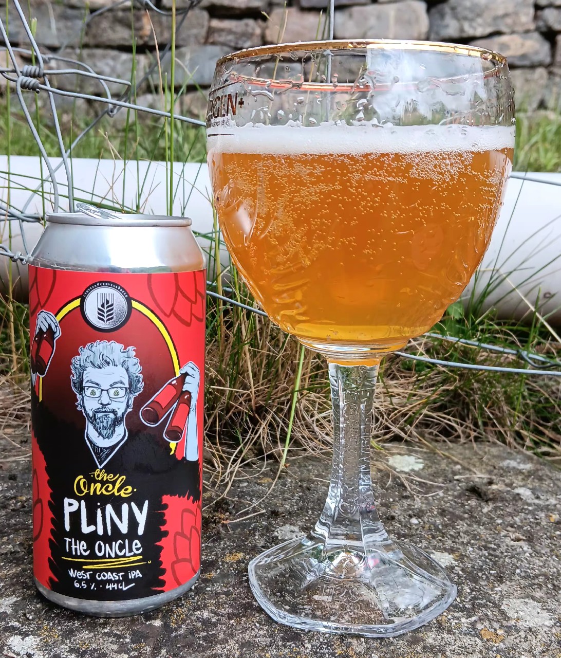 Pliny The Oncle, Spain