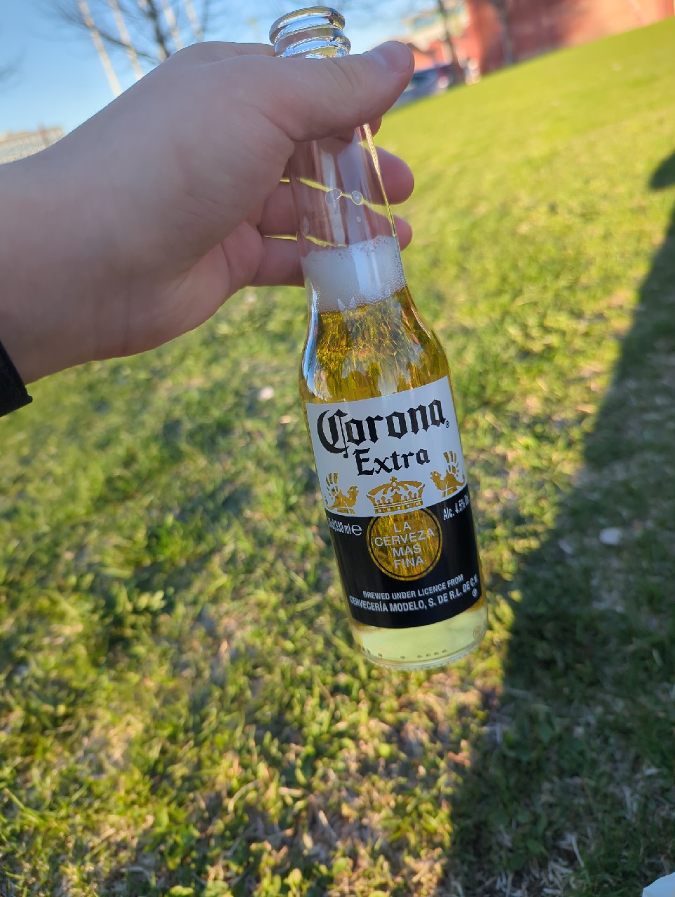 Corona Extra, Grupo Modelo (ABInBev)
