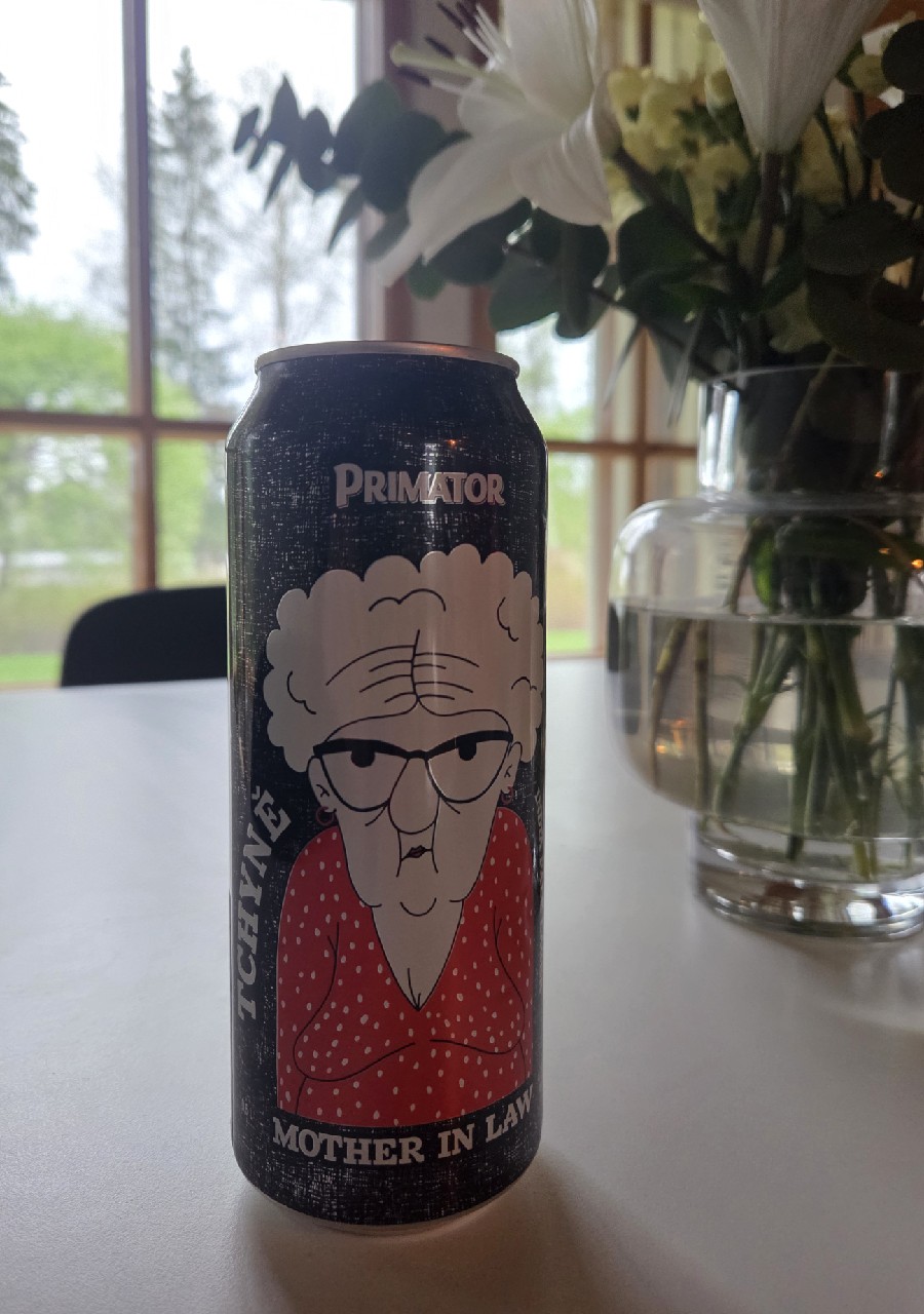 Tchyně / Mother In Law, Primátor