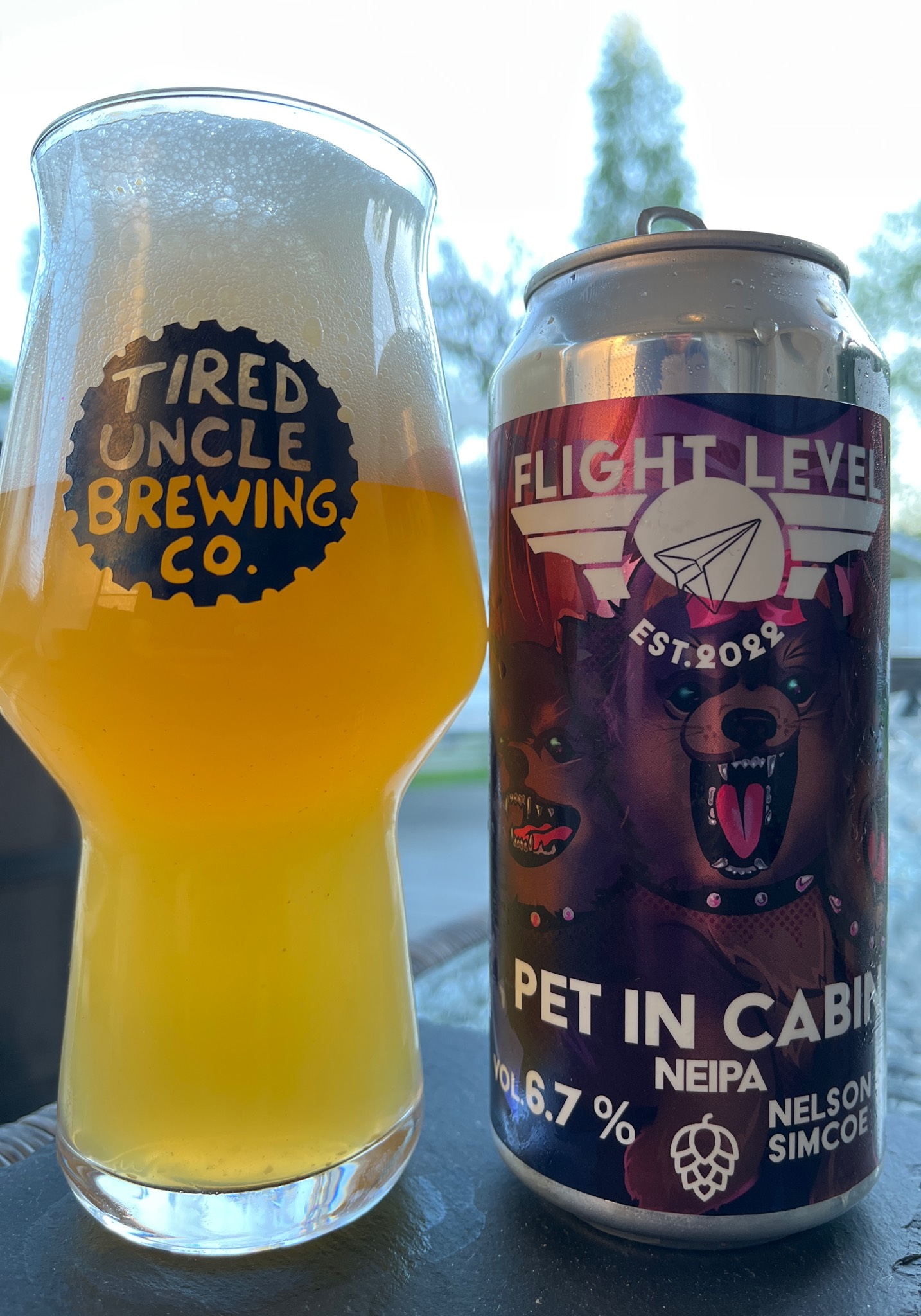 Pet in Cabin, Flight Level Brewing