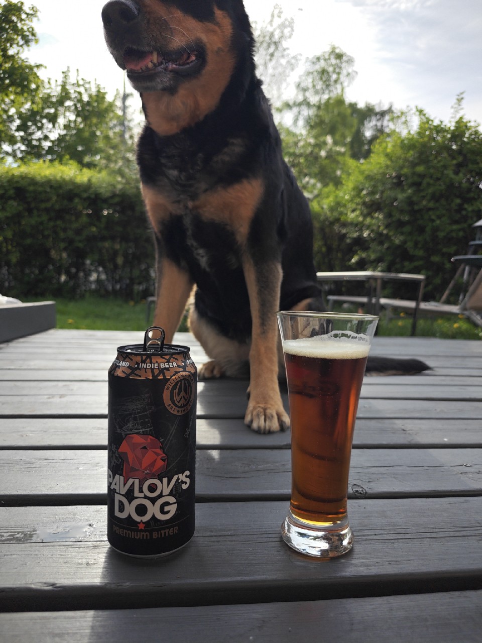 Pavlov's Dog, Williams Bros. Brewing Co.