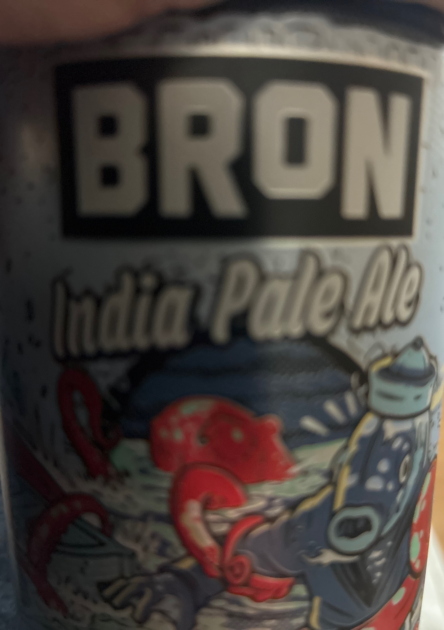 Bron India Pale Ale, Sweden