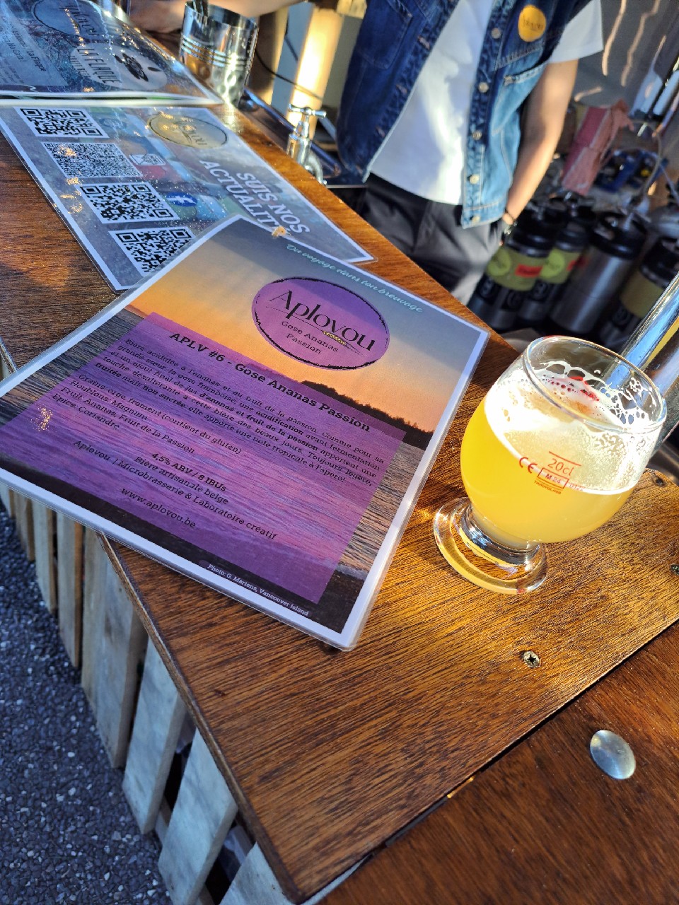 APLV #6 Gose Ananas Passion, Aplovou