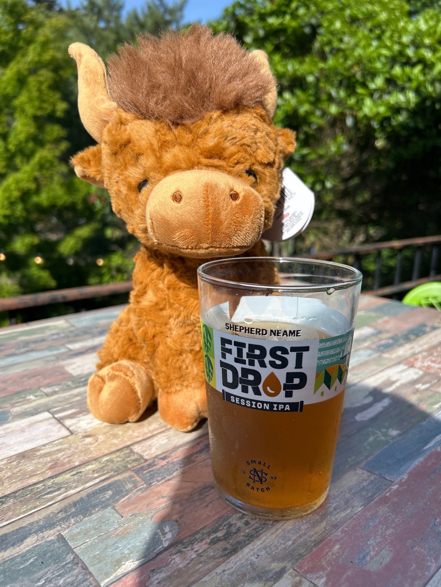shepherd neame first drop, England