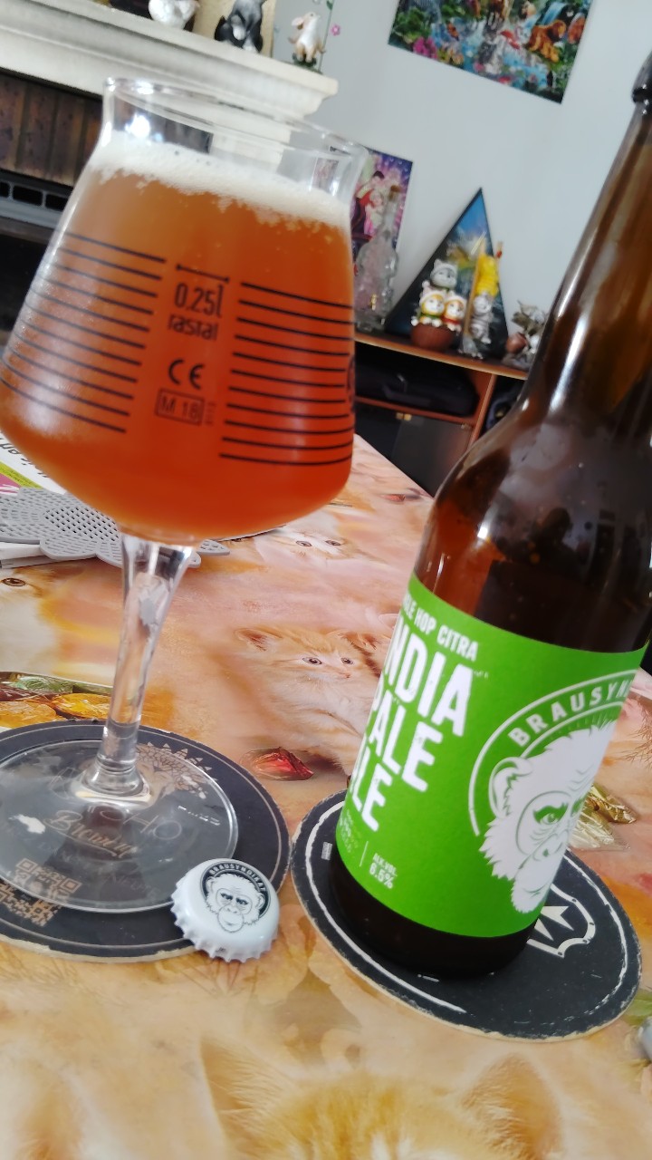 Brausyndikat IPA Citra, Switzerland