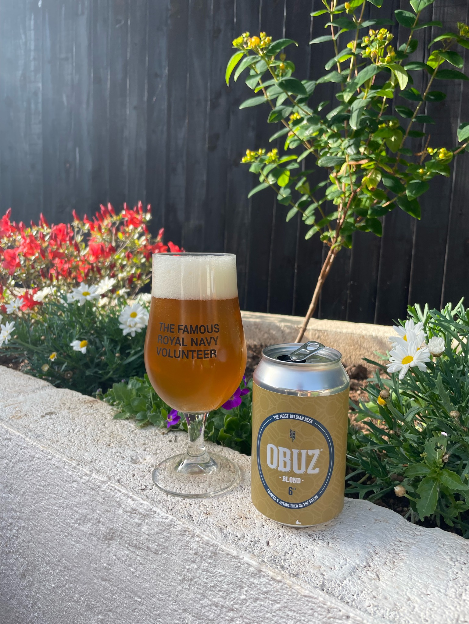 Obuz Special Blond, Waterfields Brewery