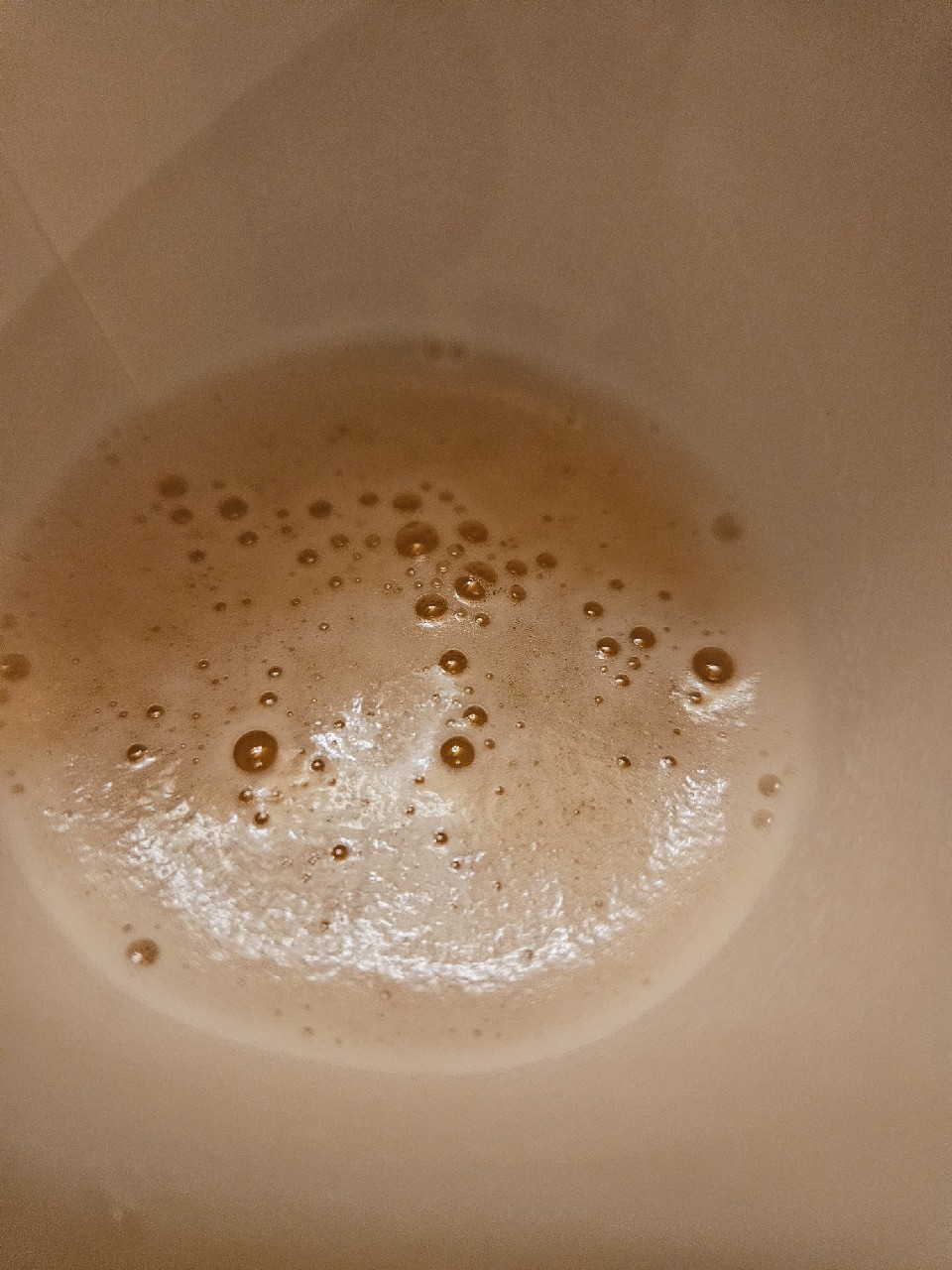 Pesä ysit Juhlakausi Lager, Finland