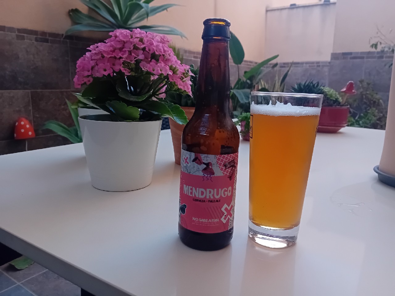 Sr. Mendrugo, Cerveza Mica
