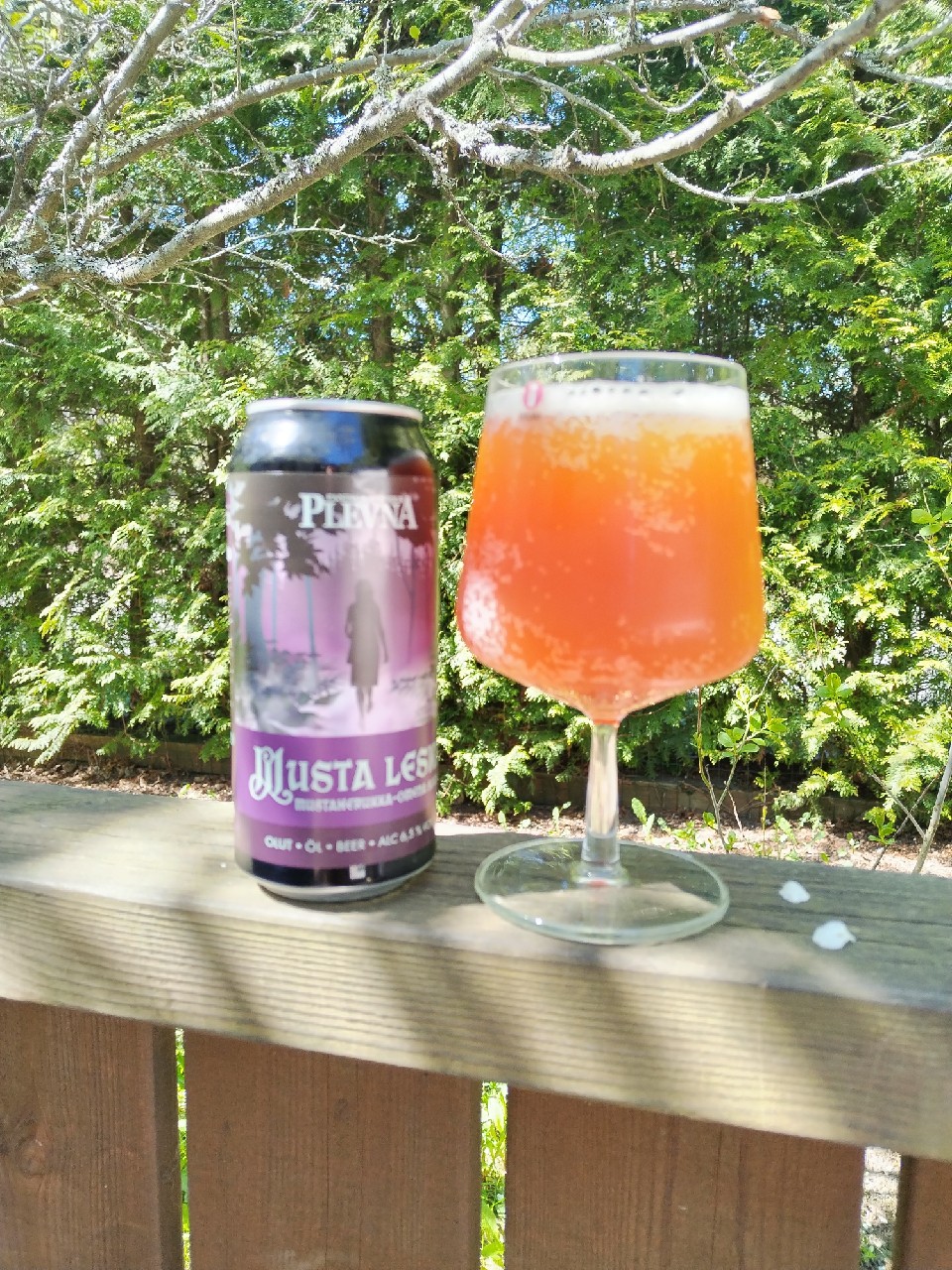 Musta leski, Finland