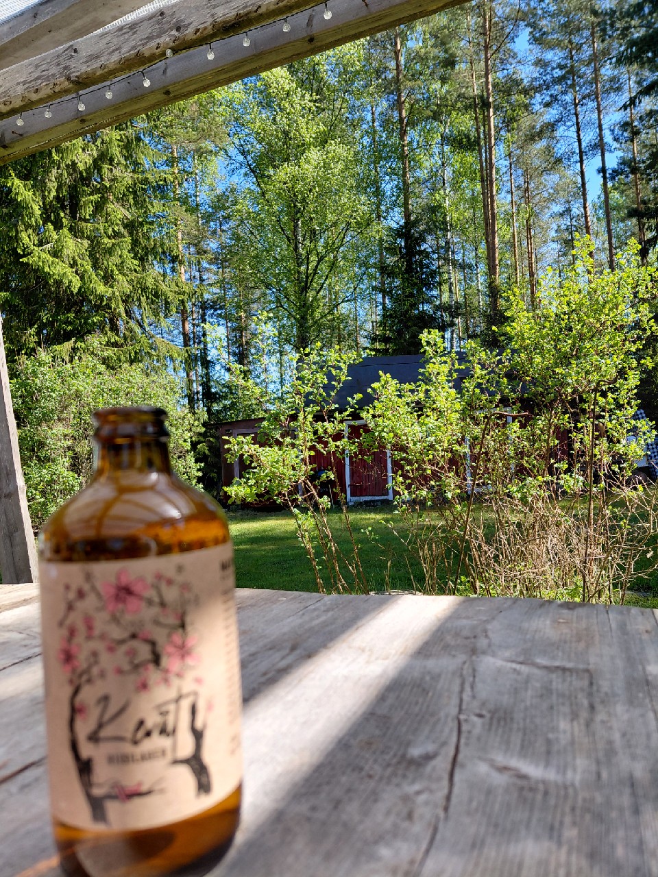 kevät riisilager, Narvan Kyläpanimo