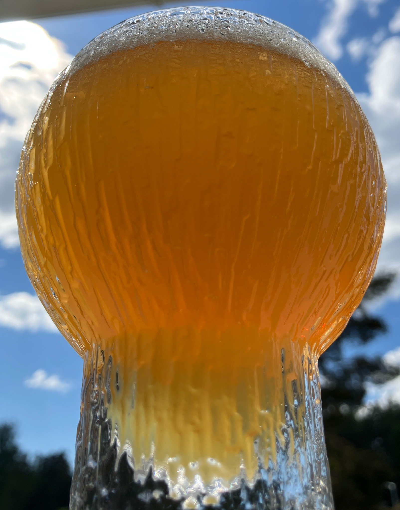 katmandu neipa, Estonia