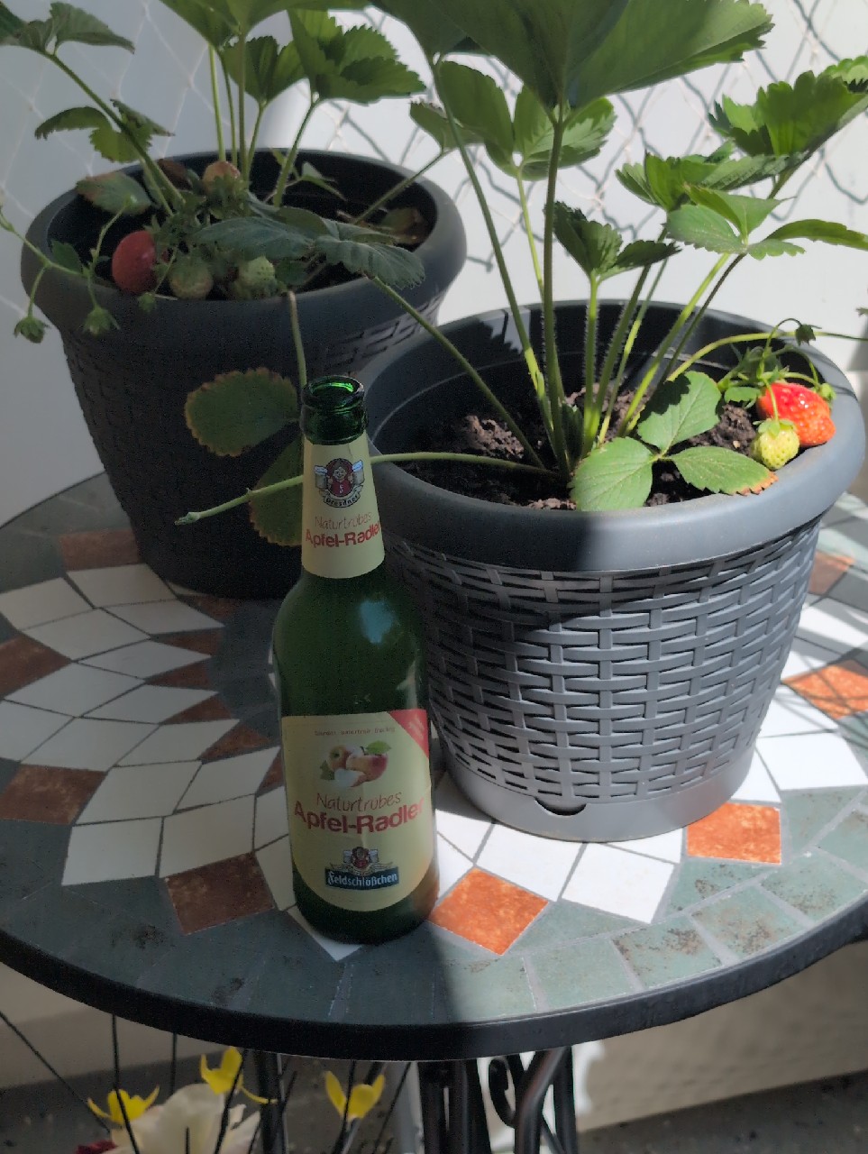 Naturtrübes Apfel-Radler, Feldschlößchen Dresden (TCB Beverages)