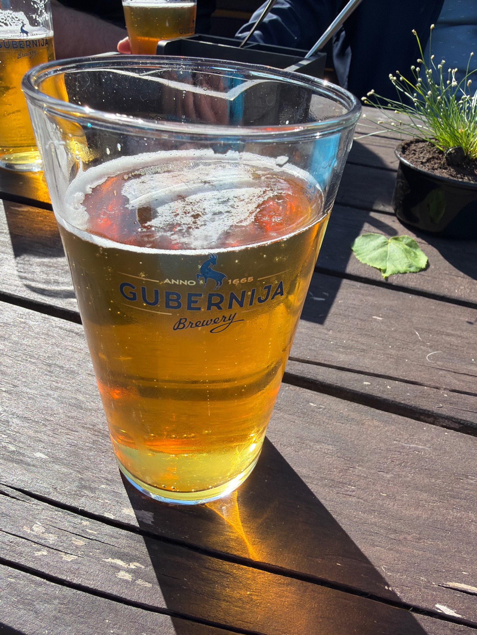 Gubernija Ekstra / Extra Lager, Gubernija Brewery